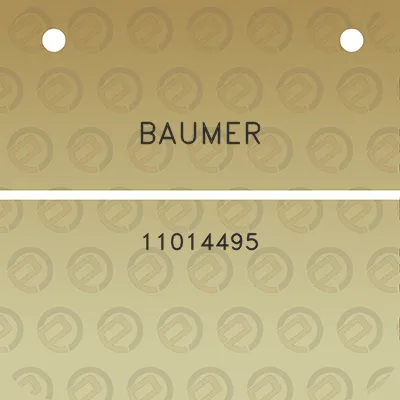 baumer-11014495