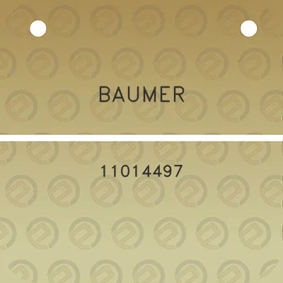 baumer-11014497