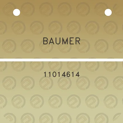 baumer-11014614