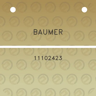 baumer-11102423