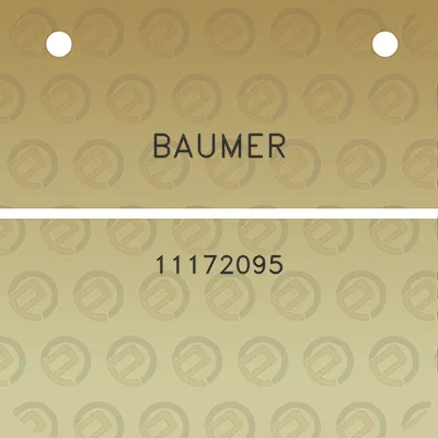 baumer-11172095