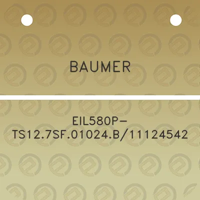 baumer-eil580p-ts127sf01024b11124542