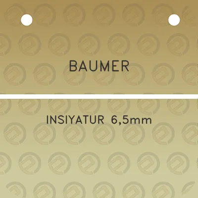 baumer-insiyatur-65mm