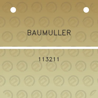 baumuller-113211