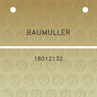 baumuller-18012132