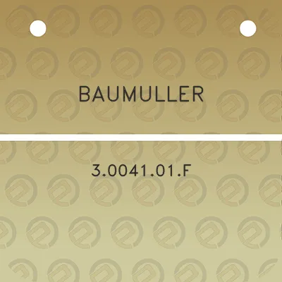 baumuller-3004101f