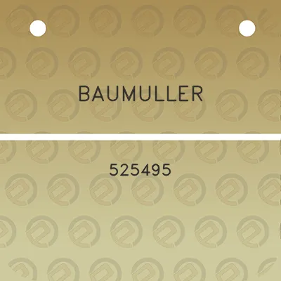 baumuller-525495