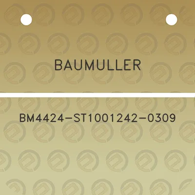 baumuller-bm4424-st1001242-0309