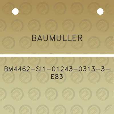 baumuller-bm4462-si1-01243-0313-3-e83