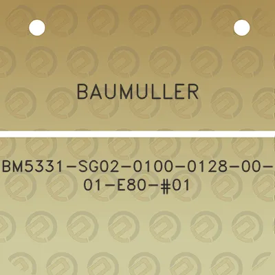 baumuller-bm5331-sg02-0100-0128-00-01-e80-01