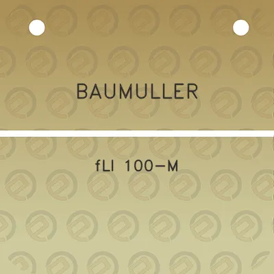 baumuller-fli-100-m