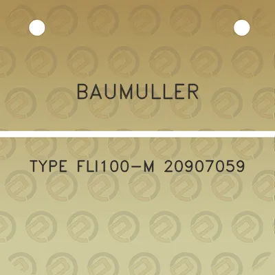 baumuller-type-fli100-m-20907059