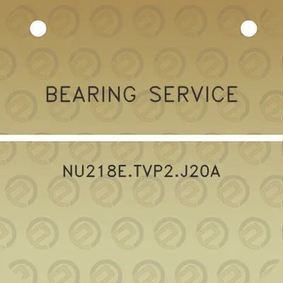 bearing-service-nu218etvp2j20a