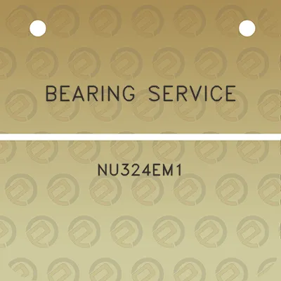 bearing-service-nu324em1