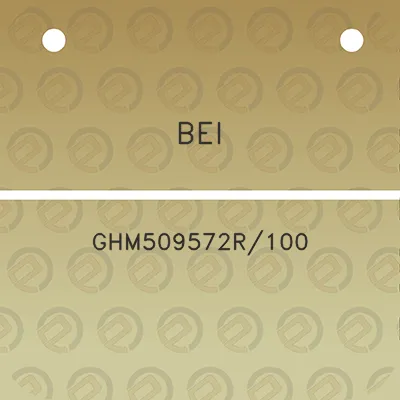 bei-ghm509572r100