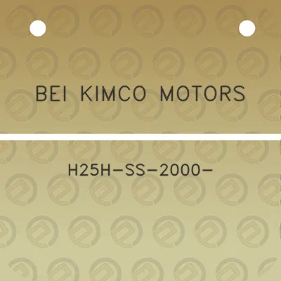 bei-kimco-motors-h25h-ss-2000