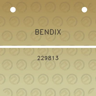 bendix-229813