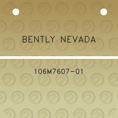 bently-nevada-106m7607-01