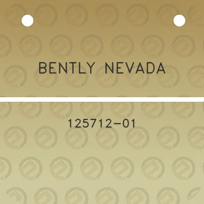 bently-nevada-125712-01