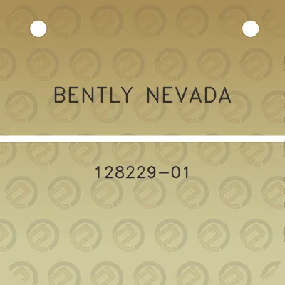 bently-nevada-128229-01