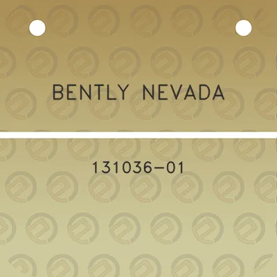 bently-nevada-131036-01