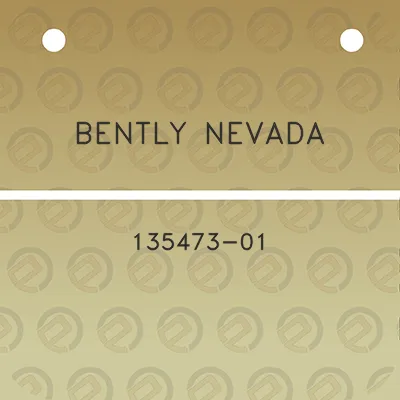 bently-nevada-135473-01