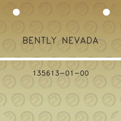 bently-nevada-135613-01-00