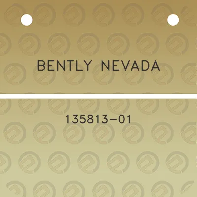 bently-nevada-135813-01