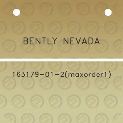 bently-nevada-163179-01-2maxorder1