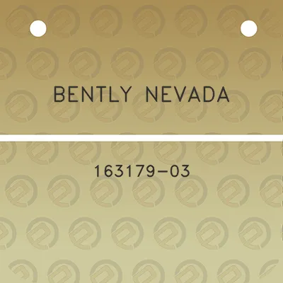 bently-nevada-163179-03