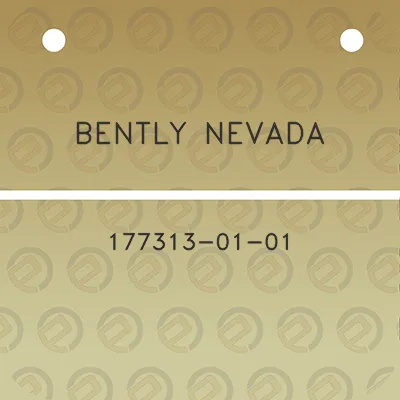 bently-nevada-177313-01-01