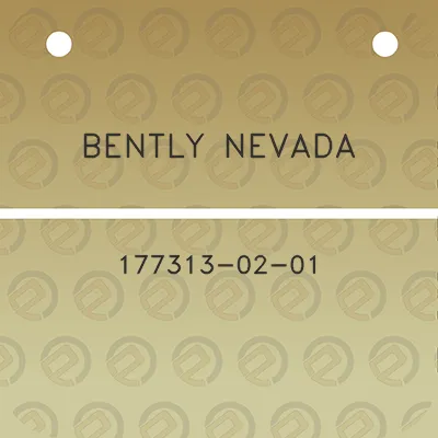 bently-nevada-177313-02-01