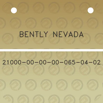 bently-nevada-21000-00-00-00-065-04-02