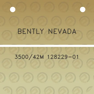 bently-nevada-350042m-128229-01