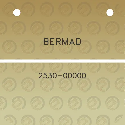 bermad-2530-00000