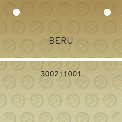 beru-300211001