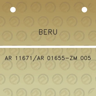 beru-ar-11671ar-01655-zm-005