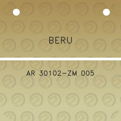 beru-ar-30102-zm-005