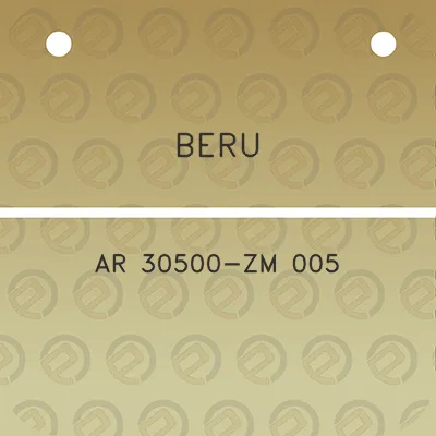 beru-ar-30500-zm-005