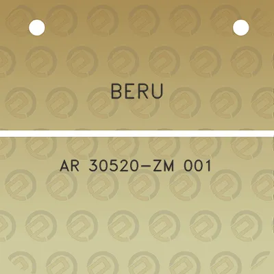 beru-ar-30520-zm-001