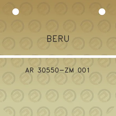 beru-ar-30550-zm-001