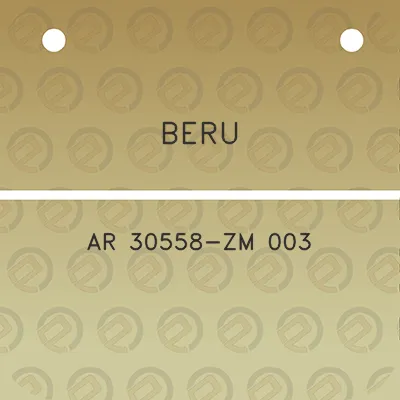 beru-ar-30558-zm-003