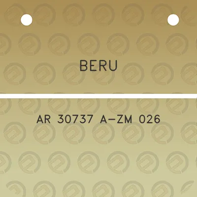 beru-ar-30737-a-zm-026