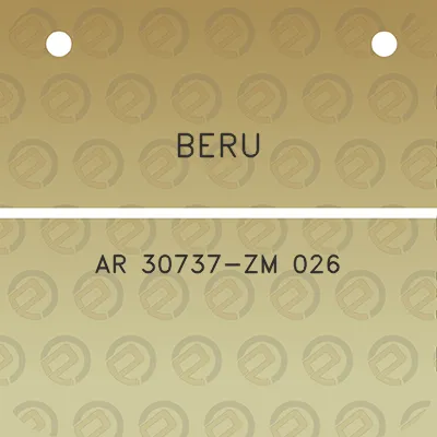 beru-ar-30737-zm-026