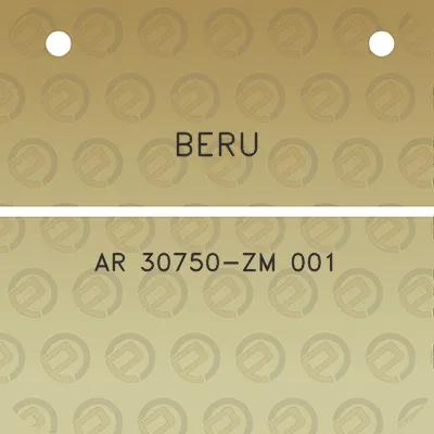 beru-ar-30750-zm-001