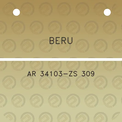 beru-ar-34103-zs-309