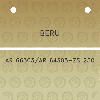 beru-ar-66303ar-64305-zs-230