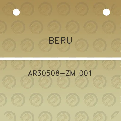 beru-ar30508-zm-001