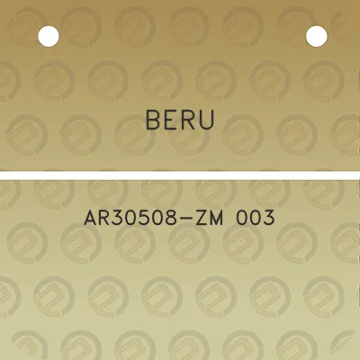 beru-ar30508-zm-003