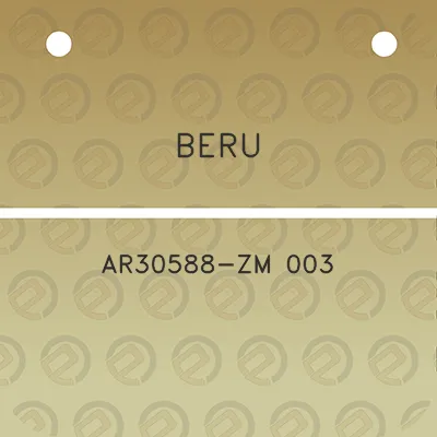 beru-ar30588-zm-003